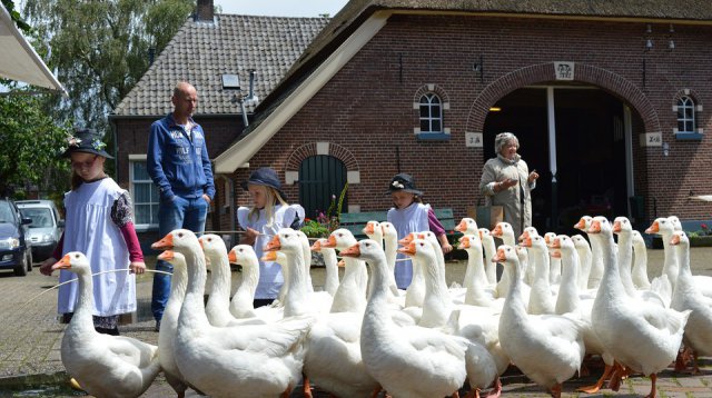 Ganzenmarkt (zondag  3 juli 2016)